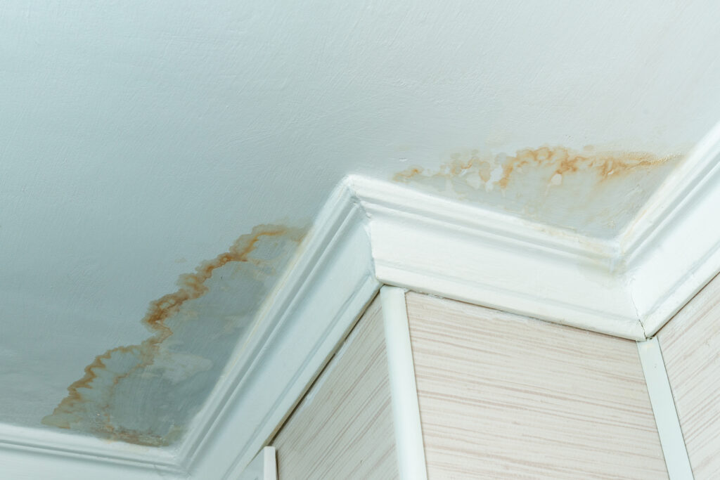 Close-up of a water stain on the ceiling.